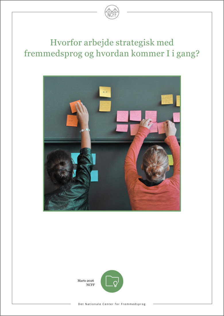 Billede af forsiden på publikation om emnet, som ligger i NCFF's vidensbank.