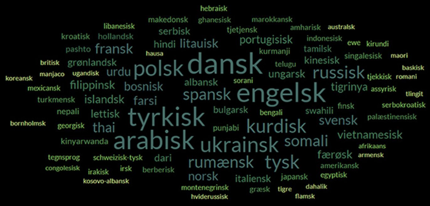 Ordsky over nogle af de 143 sprog, som grundskoler har indsamlet hos deres elever.